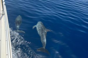 9cb325e5-4448-4e7d-8753-0a6031baa33f