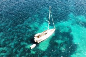 RemoteMediaFile_6619890_0_2022_08_01_12_10_12